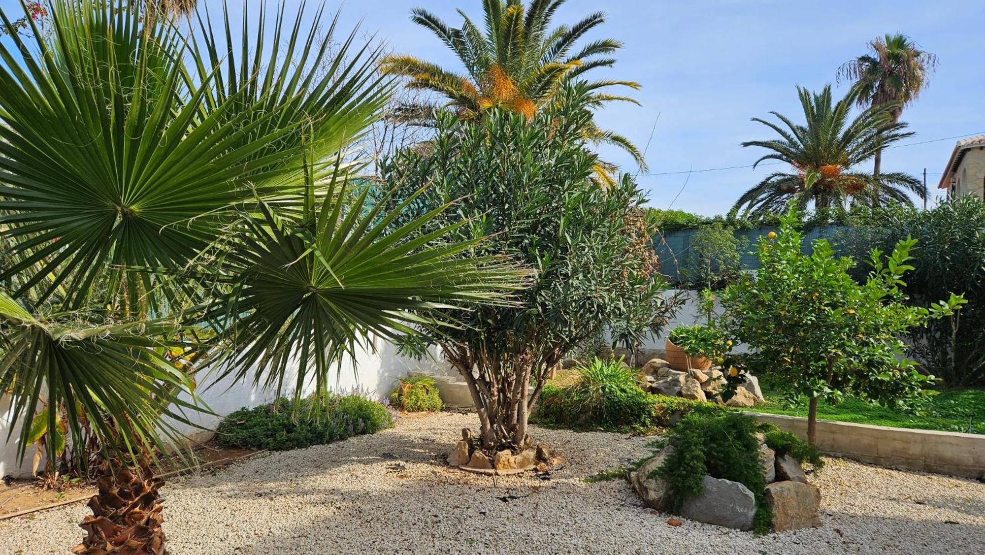 Altomira Villa Denia Kültér fotó
