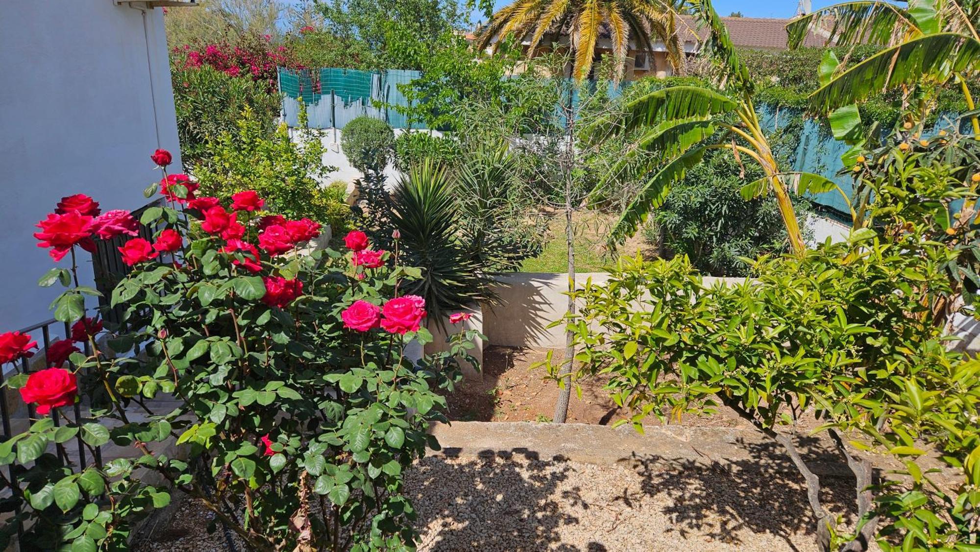 Altomira Villa Denia Kültér fotó