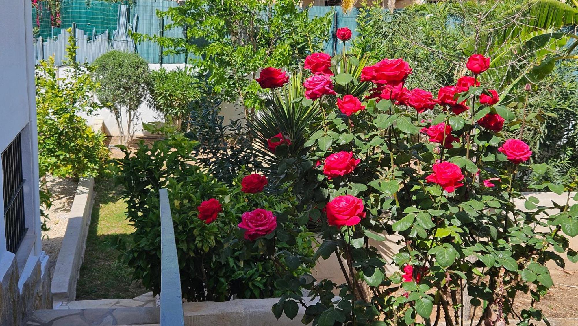 Altomira Villa Denia Kültér fotó